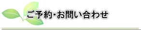 鍼灸問い合わせ